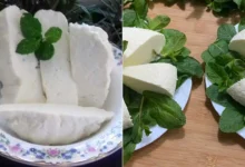 دستور پخت پنیر خانگی خوشمزه و مخصوص تبریزی در منزل