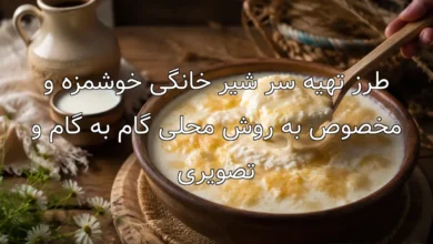 طرز تهیه سر شیر خانگی خوشمزه و مخصوص به روش محلی گام به گام و تصویری