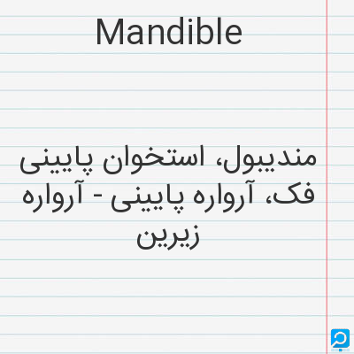 Mandible: مندیبول، استخوان پایینی فک، آرواره پایینی - آرواره زیرین