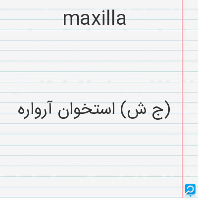 maxilla: (ج ش) استخوان آرواره