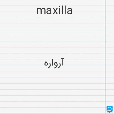 maxilla: آرواره